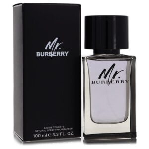 Mr Burberry by Burberry - 3.4oz (100 ml)