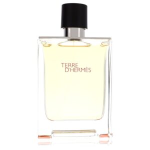 Terre D'Hermes by Hermes - 3.4oz (100 ml)